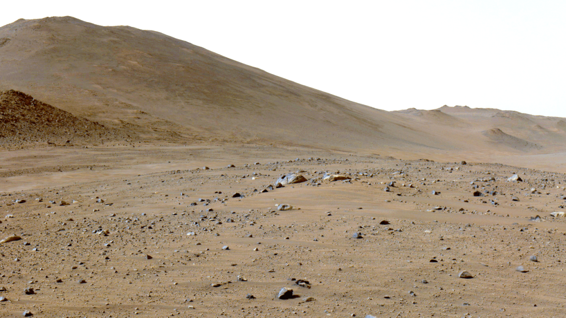 Martian Carbon: A Geologic Anomaly or Vestige of Life?